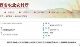 陕西爆料最新消息视频大全