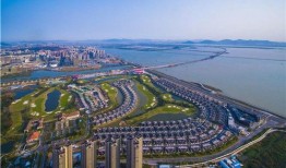 金湾最新爆料,揭秘神秘项目背后的惊人真相！